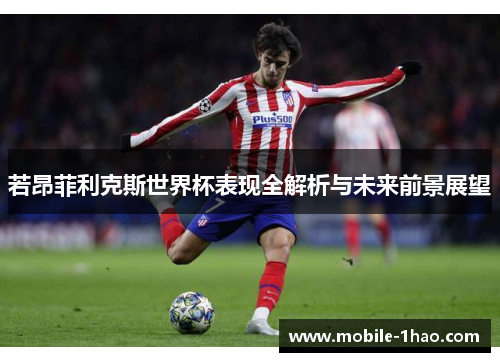 若昂菲利克斯世界杯表现全解析与未来前景展望 若昂菲利克斯世界杯表现全解析与未来前景展望