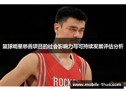 篮球明星慈善项目的社会影响力与可持续发展评估分析 篮球明星慈善项目的社会影响力与可持续发展评估分析
