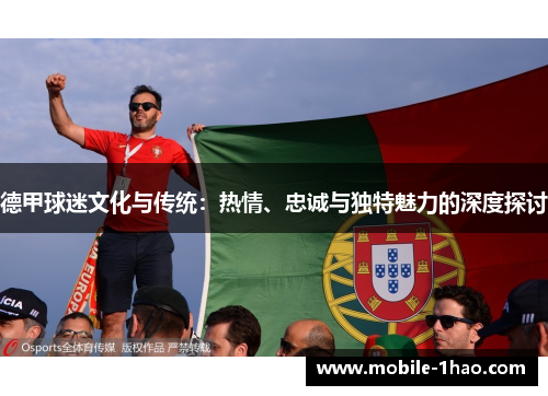 德甲球迷文化与传统:热情、忠诚与独特魅力的深度探讨 德甲球迷文化与传统:热情、忠诚与独特魅力的深度探讨