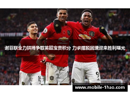 谢菲联全力拼搏争取英超宝贵积分 力求摆脱困境迎来胜利曙光 谢菲联全力拼搏争取英超宝贵积分 力求摆脱困境迎来胜利曙光