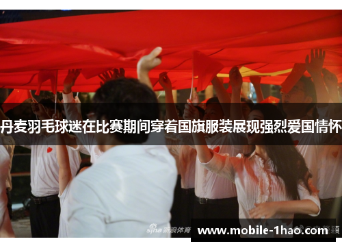 丹麦羽毛球迷在比赛期间穿着国旗服装展现强烈爱国情怀 丹麦羽毛球迷在比赛期间穿着国旗服装展现强烈爱国情怀