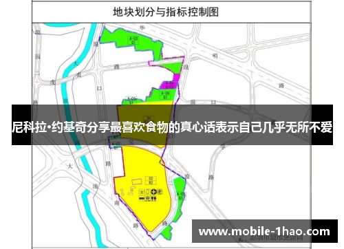 尼科拉·约基奇分享最喜欢食物的真心话表示自己几乎无所不爱 尼科拉·约基奇分享最喜欢食物的真心话表示自己几乎无所不爱