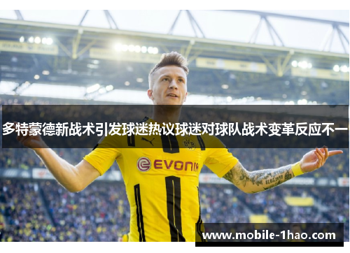 多特蒙德新战术引发球迷热议球迷对球队战术变革反应不一 多特蒙德新战术引发球迷热议球迷对球队战术变革反应不一
