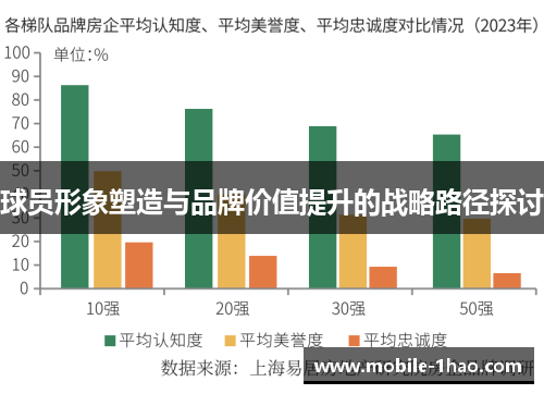 球员形象塑造与品牌价值提升的战略路径探讨 球员形象塑造与品牌价值提升的战略路径探讨