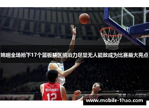 姚明全场抢下17个篮板禁区统治力尽显无人能敌成为比赛最大亮点 姚明全场抢下17个篮板禁区统治力尽显无人能敌成为比赛最大亮点