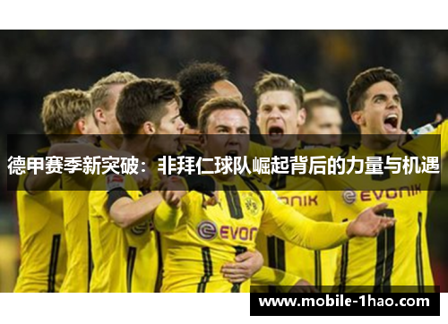 德甲赛季新突破:非拜仁球队崛起背后的力量与机遇 德甲赛季新突破:非拜仁球队崛起背后的力量与机遇