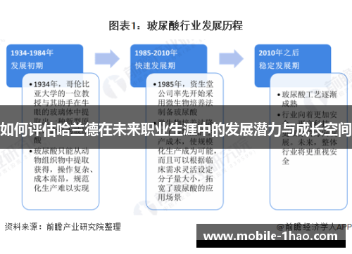 如何评估哈兰德在未来职业生涯中的发展潜力与成长空间 如何评估哈兰德在未来职业生涯中的发展潜力与成长空间