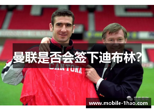 曼联是否会签下迪布林? 曼联是否会签下迪布林?
