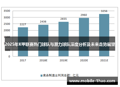 2025年K甲联赛热门球队与潜力球队深度分析及未来走势展望 2025年K甲联赛热门球队与潜力球队深度分析及未来走势展望