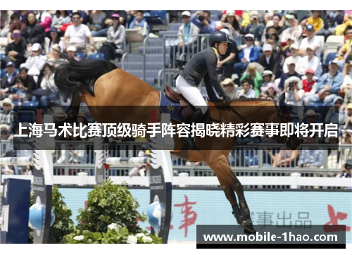 上海马术比赛顶级骑手阵容揭晓精彩赛事即将开启 上海马术比赛顶级骑手阵容揭晓精彩赛事即将开启