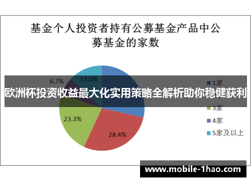 欧洲杯投资收益最大化实用策略全解析助你稳健获利 欧洲杯投资收益最大化实用策略全解析助你稳健获利