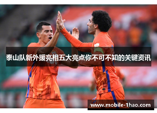泰山队新外援亮相五大亮点你不可不知的关键资讯 泰山队新外援亮相五大亮点你不可不知的关键资讯