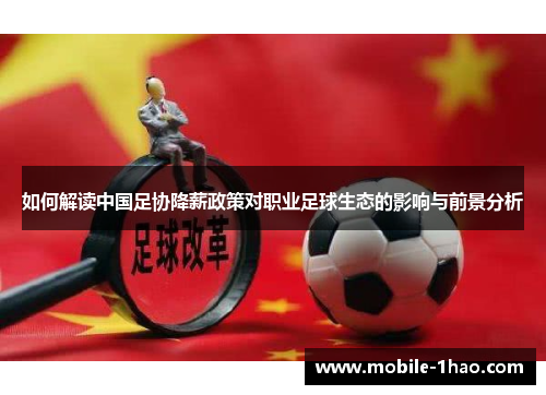 如何解读中国足协降薪政策对职业足球生态的影响与前景分析 如何解读中国足协降薪政策对职业足球生态的影响与前景分析
