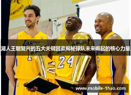 湖人王朝复兴的五大关键因素揭秘球队未来崛起的核心力量 湖人王朝复兴的五大关键因素揭秘球队未来崛起的核心力量