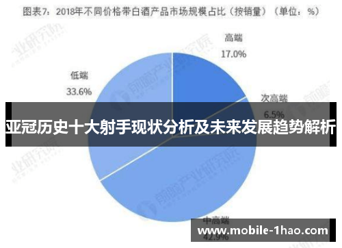 亚冠历史十大射手现状分析及未来发展趋势解析 亚冠历史十大射手现状分析及未来发展趋势解析