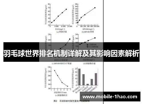 羽毛球世界排名机制详解及其影响因素解析