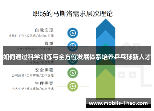 如何通过科学训练与全方位发展体系培养乒乓球新人才 如何通过科学训练与全方位发展体系培养乒乓球新人才