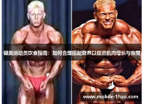 健美运动员饮食指南:如何合理搭配营养以促进肌肉增长与恢复 健美运动员饮食指南:如何合理搭配营养以促进肌肉增长与恢复