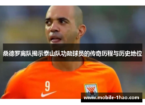 桑德罗离队揭示泰山队功勋球员的传奇历程与历史地位 桑德罗离队揭示泰山队功勋球员的传奇历程与历史地位