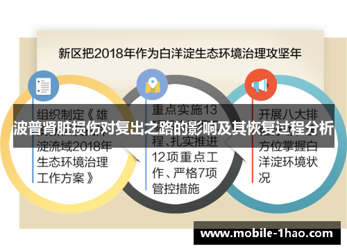 波普肾脏损伤对复出之路的影响及其恢复过程分析 波普肾脏损伤对复出之路的影响及其恢复过程分析