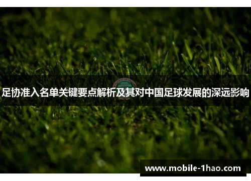 足协准入名单关键要点解析及其对中国足球发展的深远影响 足协准入名单关键要点解析及其对中国足球发展的深远影响