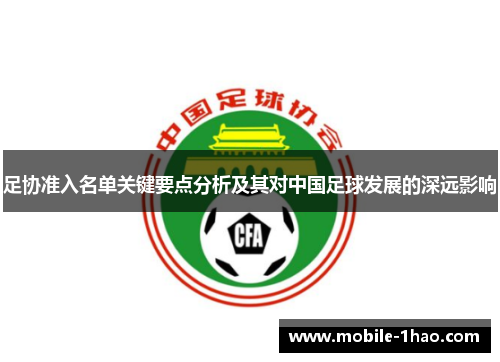 足协准入名单关键要点分析及其对中国足球发展的深远影响 足协准入名单关键要点分析及其对中国足球发展的深远影响