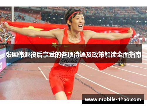 张国伟退役后享受的各项待遇及政策解读全面指南