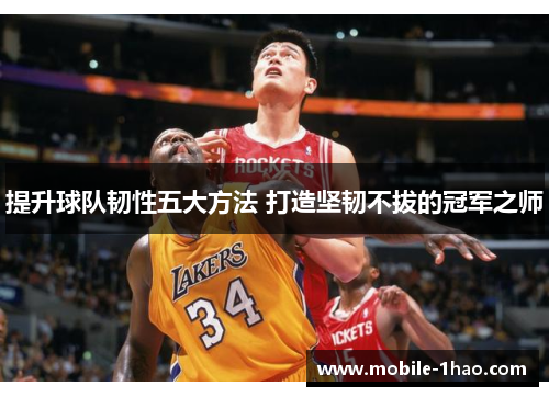 提升球队韧性五大方法 打造坚韧不拔的冠军之师 提升球队韧性五大方法 打造坚韧不拔的冠军之师