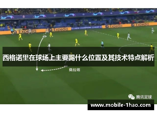 西格诺里在球场上主要踢什么位置及其技术特点解析 西格诺里在球场上主要踢什么位置及其技术特点解析