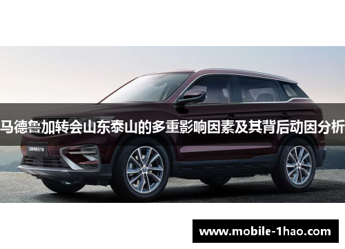 马德鲁加转会山东泰山的多重影响因素及其背后动因分析 马德鲁加转会山东泰山的多重影响因素及其背后动因分析