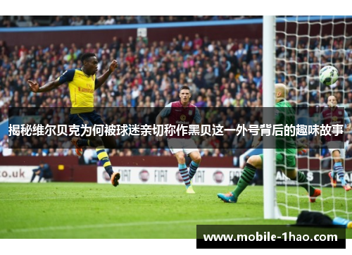 揭秘维尔贝克为何被球迷亲切称作黑贝这一外号背后的趣味故事 揭秘维尔贝克为何被球迷亲切称作黑贝这一外号背后的趣味故事
