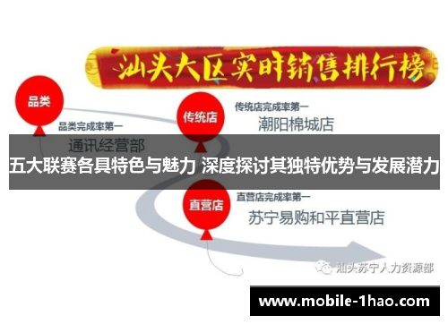 五大联赛各具特色与魅力 深度探讨其独特优势与发展潜力 五大联赛各具特色与魅力 深度探讨其独特优势与发展潜力