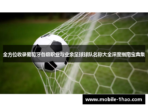 全方位收录葡萄牙各级职业与业余足球球队名称大全深度指南宝典集