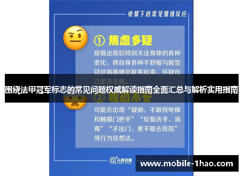 围绕法甲冠军标志的常见问题权威解读指南全面汇总与解析实用指南