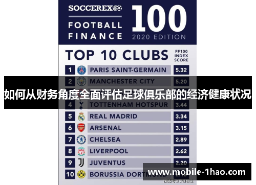 如何从财务角度全面评估足球俱乐部的经济健康状况 如何从财务角度全面评估足球俱乐部的经济健康状况