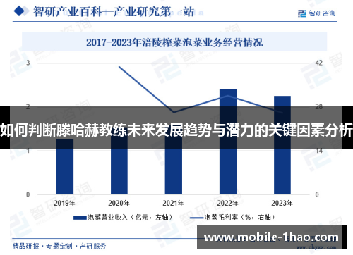如何判断滕哈赫教练未来发展趋势与潜力的关键因素分析