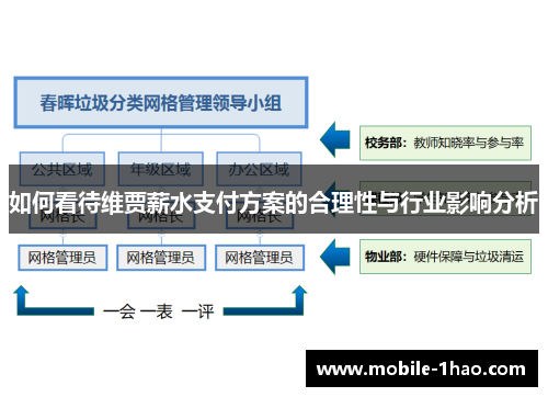 如何看待维贾薪水支付方案的合理性与行业影响分析