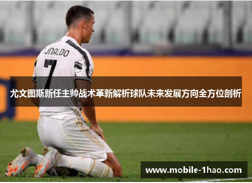 尤文图斯新任主帅战术革新解析球队未来发展方向全方位剖析