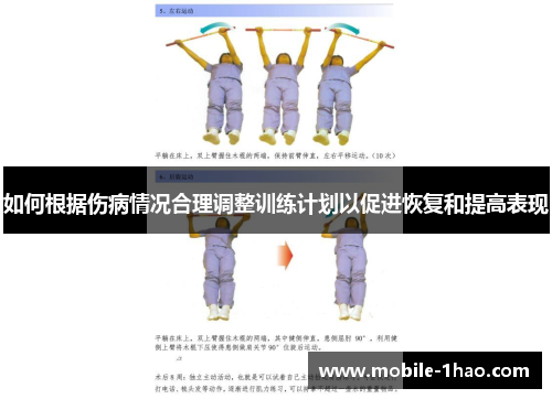 如何根据伤病情况合理调整训练计划以促进恢复和提高表现