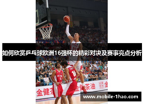 如何欣赏乒乓球欧洲16强杯的精彩对决及赛事亮点分析