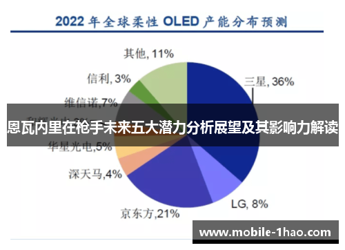 恩瓦内里在枪手未来五大潜力分析展望及其影响力解读